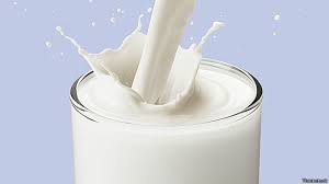 Agricultura busca mercados alternos producción leche destinada a desayuno escolar