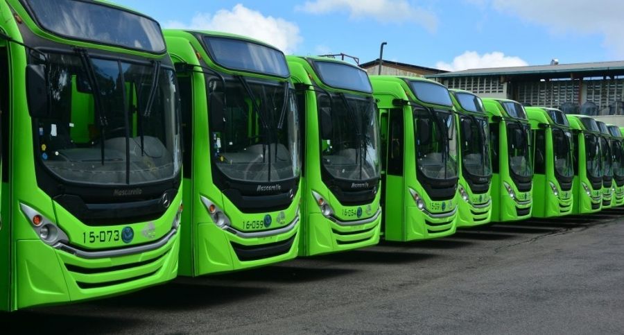 OMSA recibe nuevos autobuses