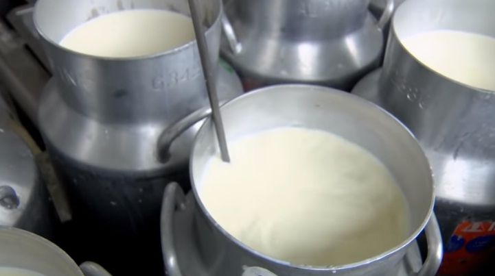 Autoridades dominicanas proponen precio de leche en finca