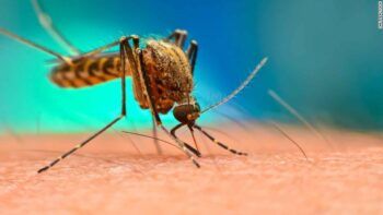 Durante el 2021 se registraron más de 3,340 casos de dengue en la República Dominicana
