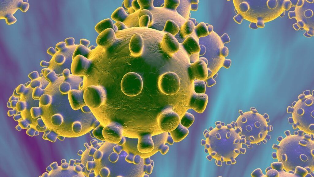 Más de 4 mil personas se han curado del letal coronavirus