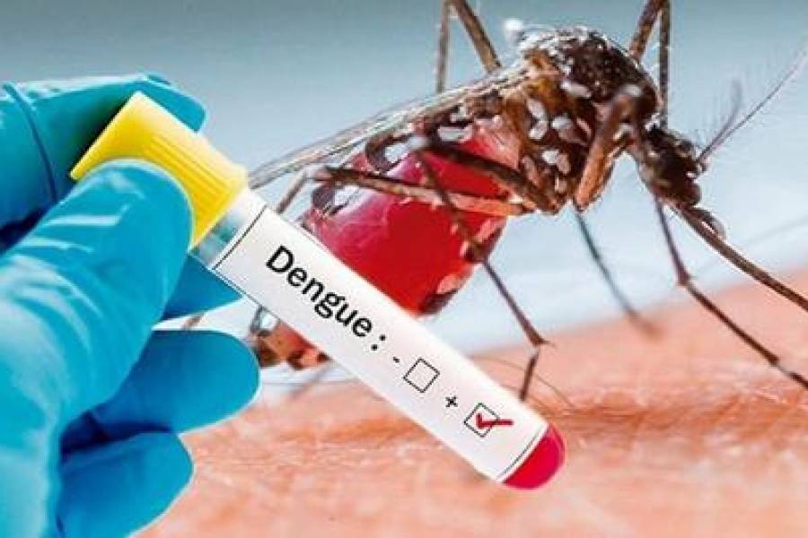 Mientras todos tienen la atención puesta en coronavirus el dengue esta matando mas gente América Latina