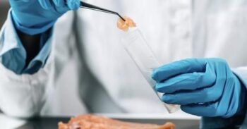 EE.UU. aprueba la venta de carne de pollo creada en laboratorio