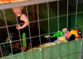 Arrestan mujer que encerró a su hijo en una jaula de perros