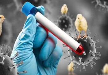 Canadá reporta primer caso de gripe aviar en un humano