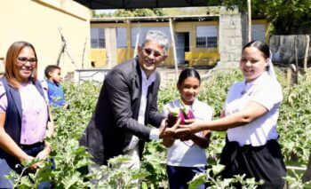 Estudiantes cosechan berenjenas en huerto escolar de una escuela en Licey al Medio
