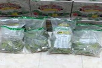 Carga de rulo tenía 117 unidades rellenas de coca