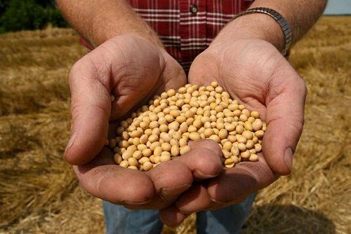 Naciones Unidas llama a actuar contra el desperdicio de alimentos