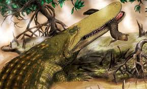 Identifican una nueva especie de cocodrilo que vivió hace 95 millones de años