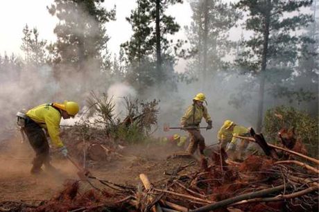 Piñera alerta de gravedad por 48 incendios que han arrasado 22.800 hectáreas