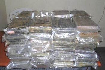 DNCD ocupa 11 paquetes de cocaína en Puerto Caucedo