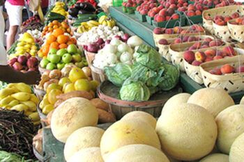 Anuncian realización de censo agropecuario en República Dominicana