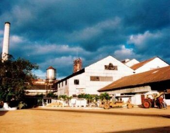 Piden otorgar a azucarera española cuota exportación a EEUU