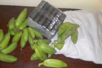 Apresan hombre con 11 paquetes de coca en Azua