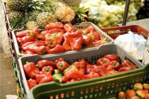 Alimento vola
