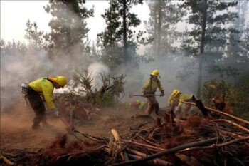Un incendio afecta a más de 700 hectáreas en un parque natural en España