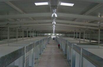 Poder Ejecutivo instruye abrir el Merca Santo Domingo