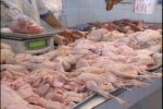 La carne de pollo podría llegar a RD$200 la libra por desabastecimiento