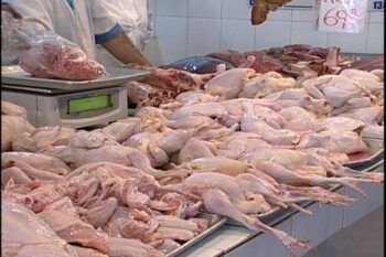Consumidores podrán comprar la libra de pollo a 40 pesos
