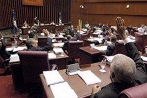 Camara de Diputados uu