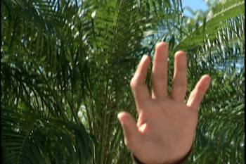 Suspenden seguridad que rompió dedo a estudiante en la UASD