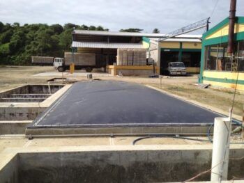 Pupú garantizará que granjas de cerdos y gallinas produzcan  su propia energía