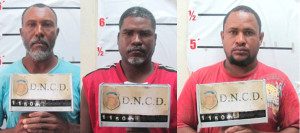 Rafael Romero DNCD 31-1-13