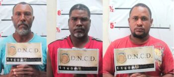 Ocupan 25 paquetes de coca sería llevada a Puerto Rico