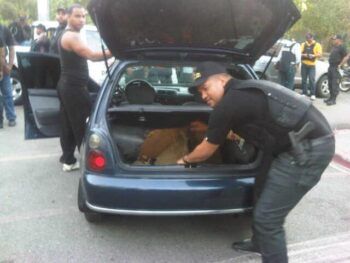 Agentes PN. DNCD, y Ministerio Público realizan operativo en El Pentágono de Herrera