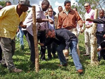 Presidente Medina visita Hacienda Estrella; concede RD$30 M a productores de arroz