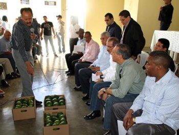Presidente Medina aprueba RD$17 millones a productores de aguacates de Cambita