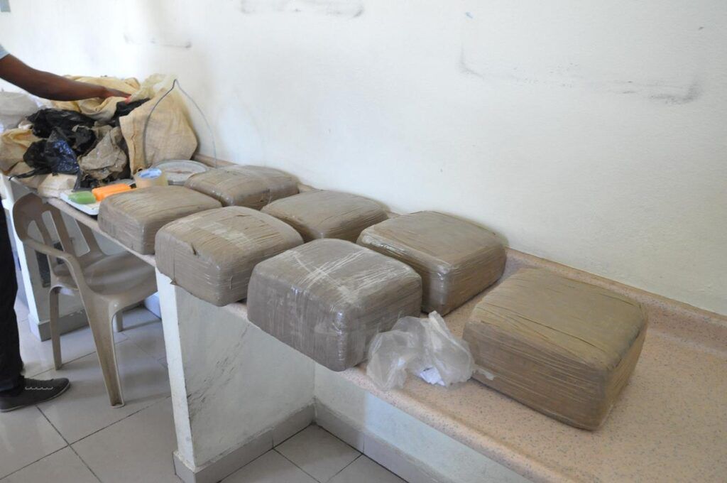 Apresan mujer con más de 73 libras de marihuana