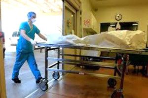 Cadáver. fuente externa.