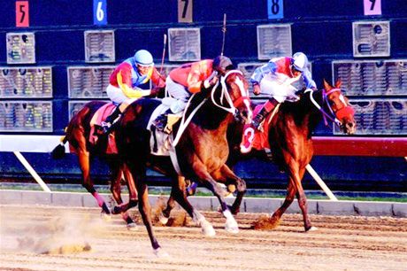Danilo dispone Comisión Hípica administre Hipódromo Quinto Centenario