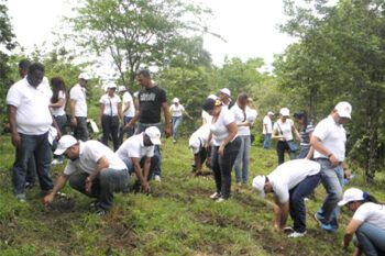 Estudio revela hay que plantar un billón de árboles para combatir el cambio climático