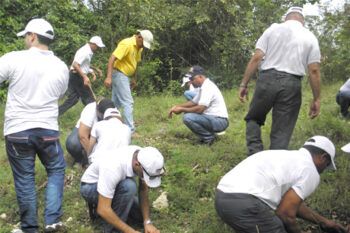 Tesorería Nacional realiza jornada de reforestación en Monte Plata