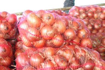 Denuncian que Haití aumentó en más de un 600% impuesto a cebollas de RD