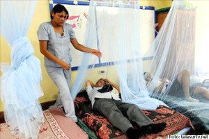 Dengue en Honduras 31a