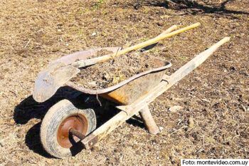 Proyecto europeo prevé aprovechar la paja del estiércol para generar biogás