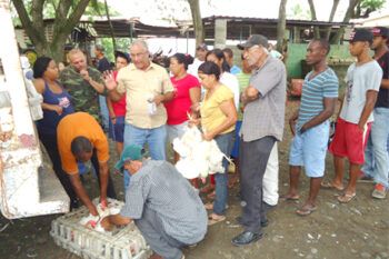 Asegura venta de gallinas a RD$50 busca bajar 750 mil huevos diario