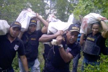 Es cocaína pura la droga decomisada por la DNCD en Boca de Yuma