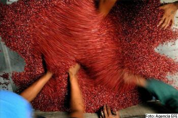 Brasil espera cosecha récord de 186,15 millones de toneladas de granos