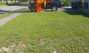 Por Excelsior.com.mx en Smartphones 09 de Septiembre de 2016