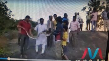 (VIDEO) ‘Selfie’ con una serpiente se convierte en tragedia