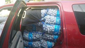 Cargamento de ajo incautado