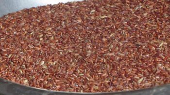 El arroz más caro del mundo