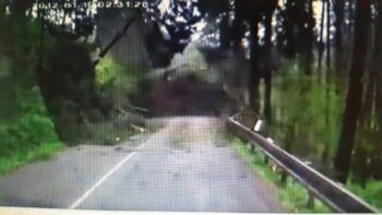 Como sacada de una película (VIDEO)