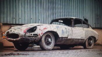 Crean carne sin sacrificar a ningún animal