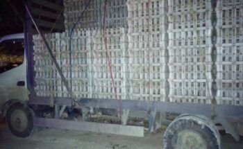 Asalto a camión de pollos deja al menos tres muertos