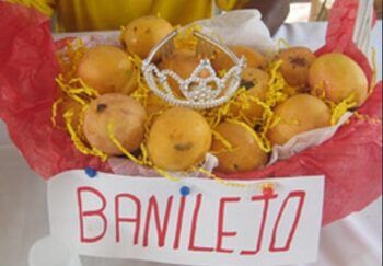 Exportaciones mangos de Baní alcanzan los US$6.9 millones